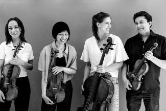 Malion Quartett Ensemble